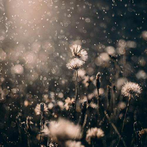  بیا ببین چجوری غم توی چشمام قطره